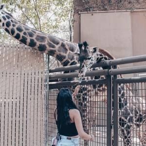 Meet your Posher, Lizeth